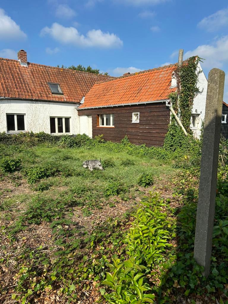 Gratis strormpannen, Doe-het-zelf en Bouw, Dakpannen en Dakbedekking, Ophalen, Gebruikt, Steen of Klei, 15 m² of meer