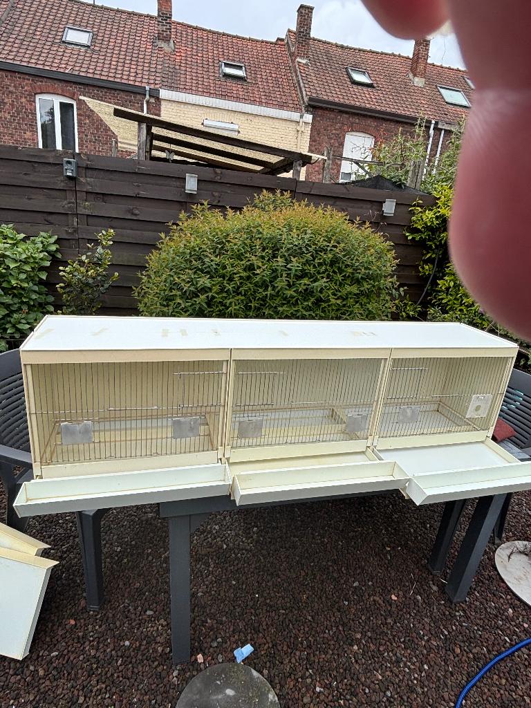 Cage prima  à vendre, Animaux & Accessoires, Oiseaux | Cages & Volières, Enlèvement, Utilisé, Synthétique, Cage à oiseaux