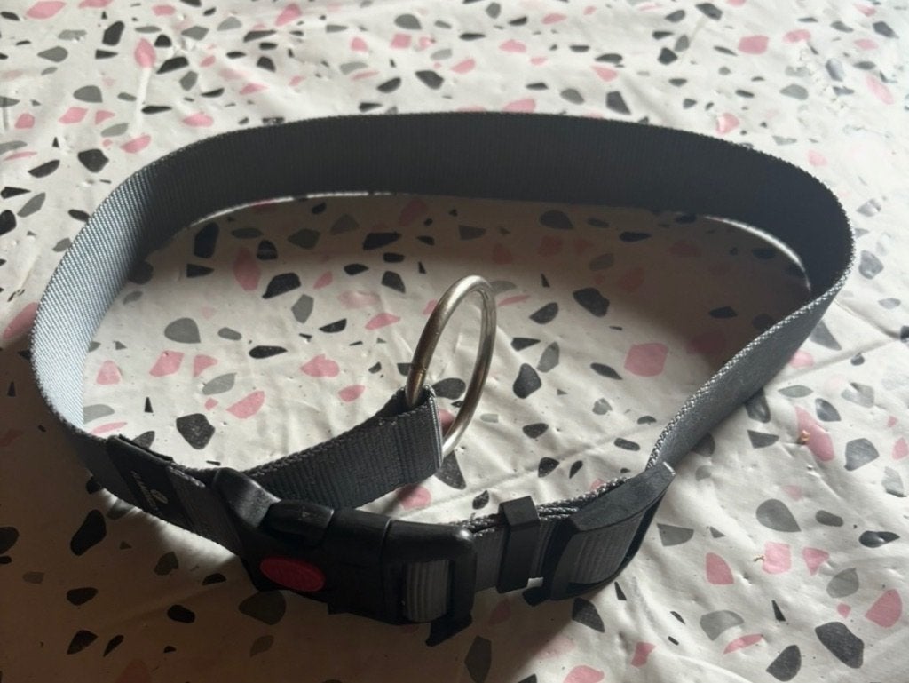 Collier pour chien, Animaux & Accessoires, Enlèvement ou Envoi, Comme neuf