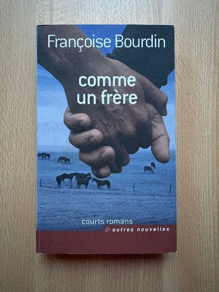 Comme un frère, Livres, Romans, Utilisé, Europe autre, Enlèvement