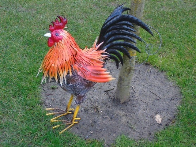 un coq en fer forgé pat couleurs ..., Enlèvement ou Envoi, Neuf