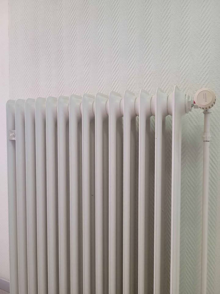Vintage Radiatoren, Ophalen, Gebruikt, Radiator