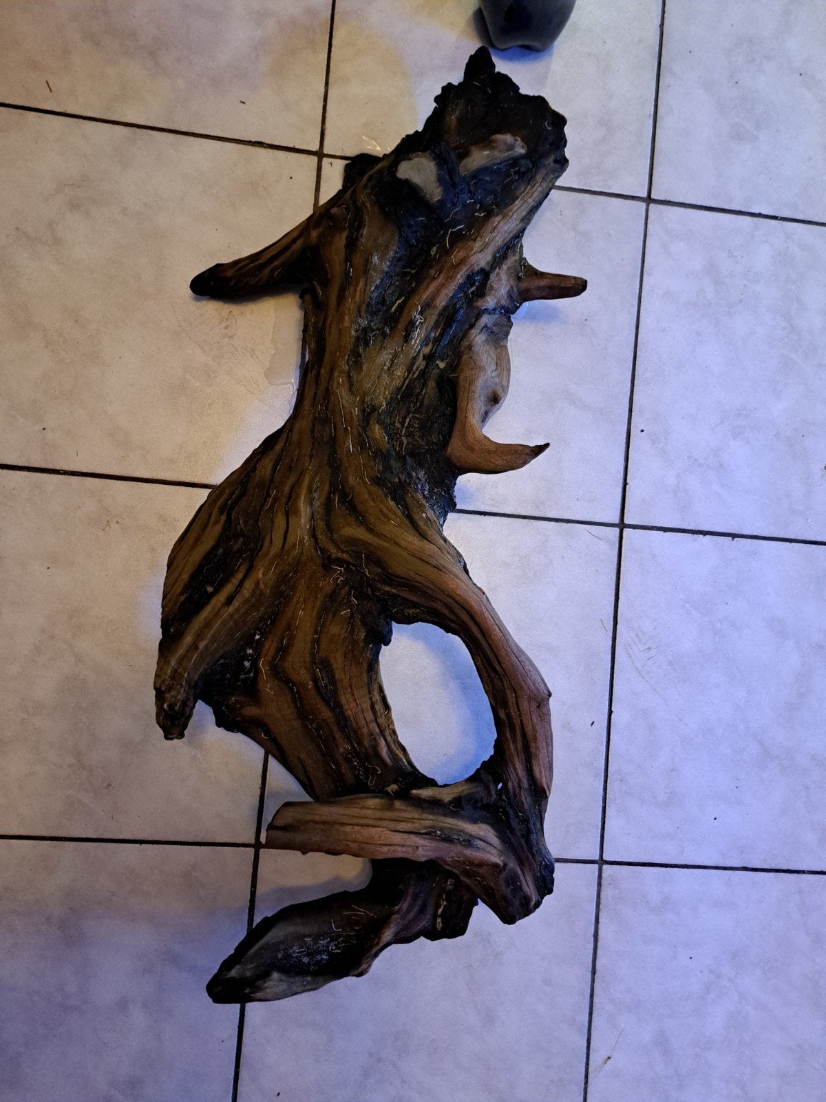 grande souche pour aquarium ou reptiles..., Dieren en Toebehoren, Ophalen, Zo goed als nieuw, Plant(en), Steen of Hout
