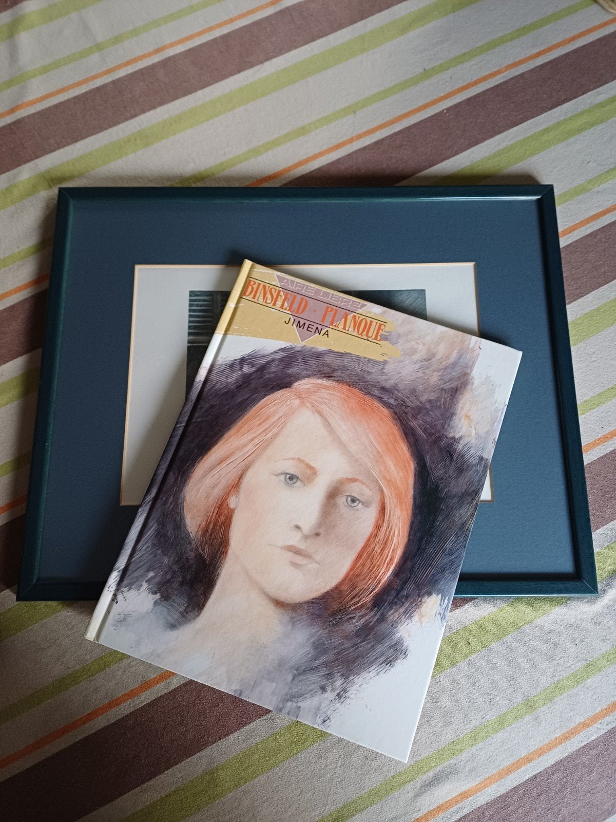 Strips Jimena Leo en Litho van Binsfeld, Boeken, Ophalen of Verzenden