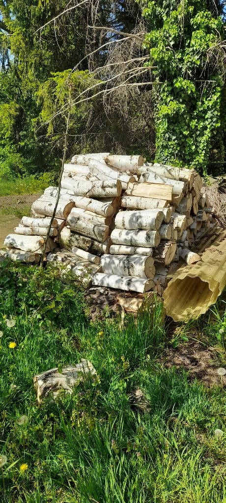 stookhout berk, Tuin en Terras, Ophalen, Nieuw
