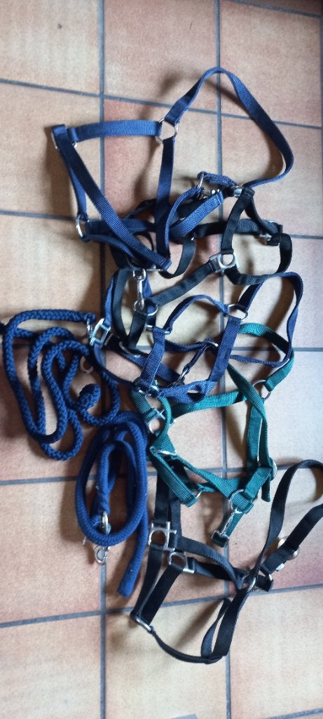 Halsters, Dieren en Toebehoren, Ophalen, Nieuw, Halster, Verstelbaar