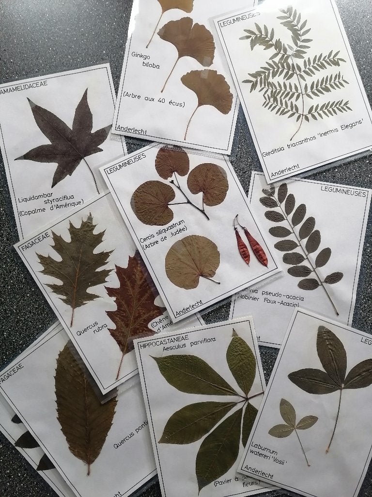 herbier artisanal, Boeken, Ophalen