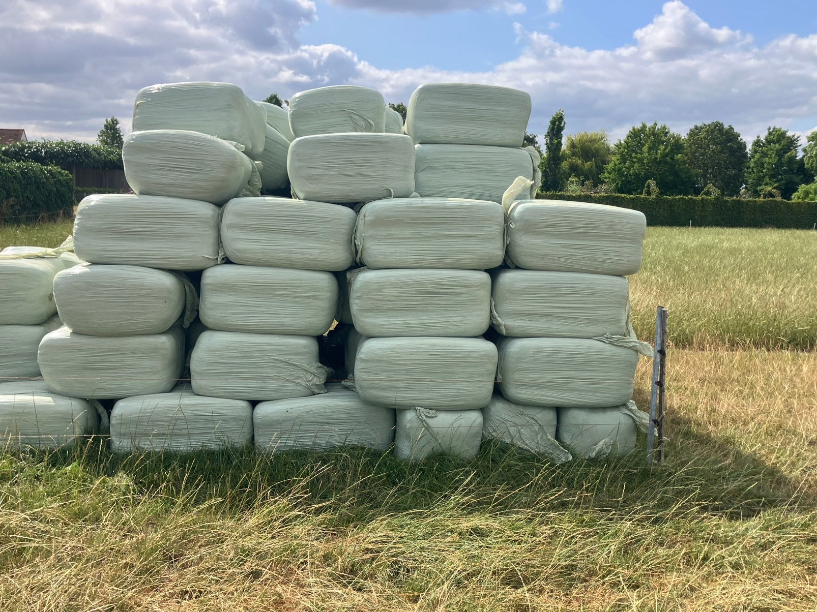Kleine balen voordroog te koop, Ophalen of Verzenden