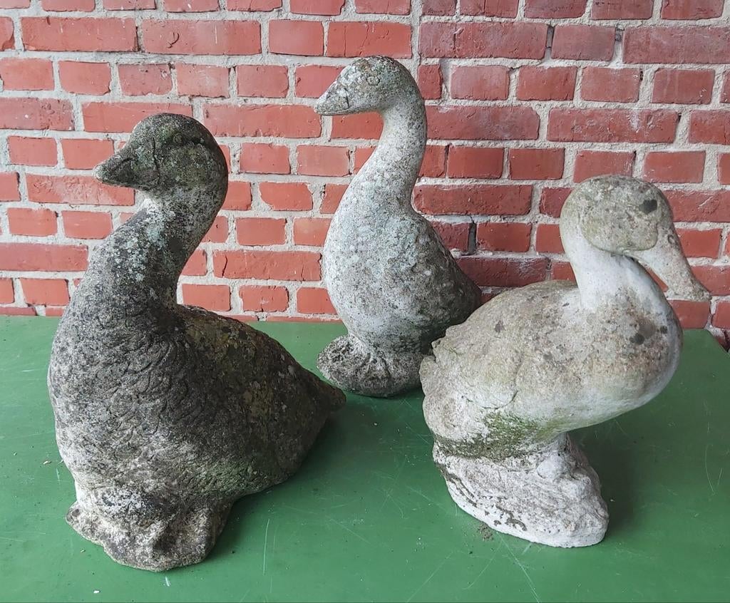 Betonnen beelden betonnen eenden decoratie, Ophalen