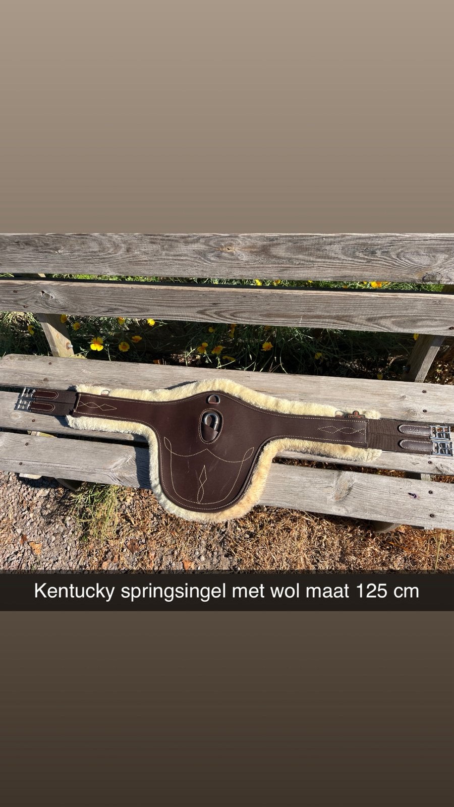 Kentucky springsingel met wol ️, Ophalen of Verzenden, Zo goed als nieuw