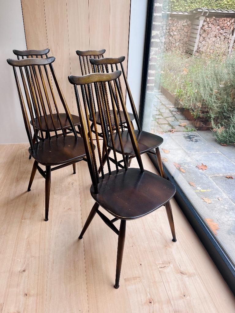 5 Ercol Moustache stoelen, Huis en Inrichting, Ophalen, Gebruikt, Bruin, Vijf, Zes of meer stoelen