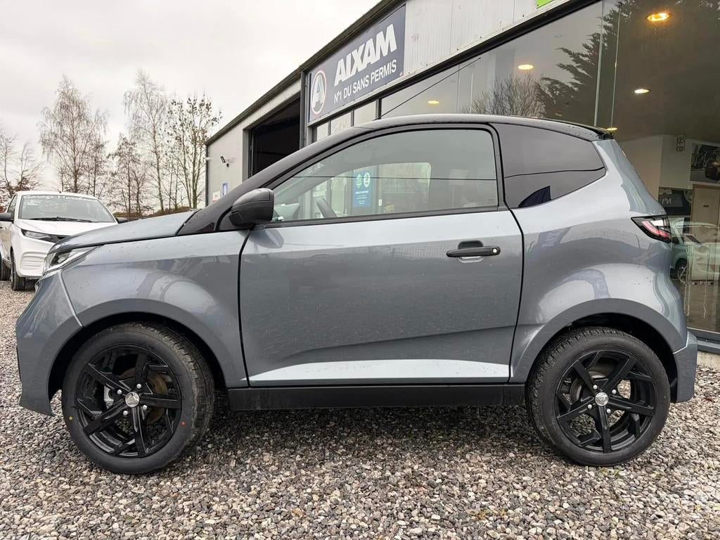 Aixam City Sport (automatique), Cuir, Achat, Entreprise, Autres couleurs