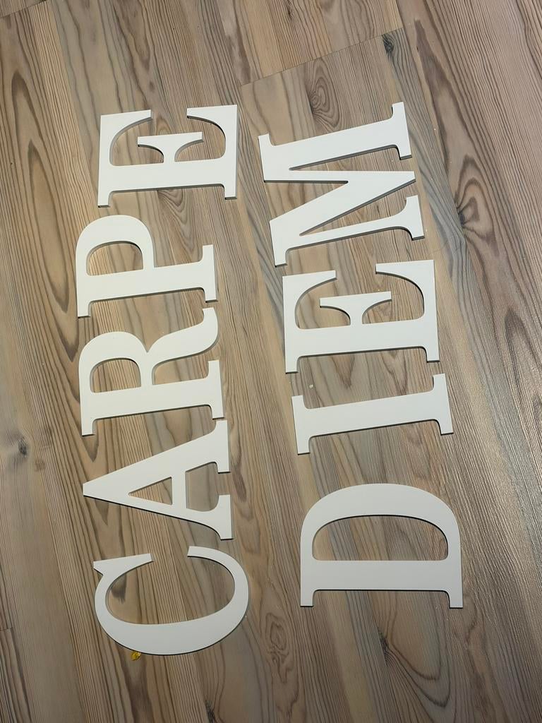 Carpe Diem wanddecoratie, Enlèvement, Comme neuf