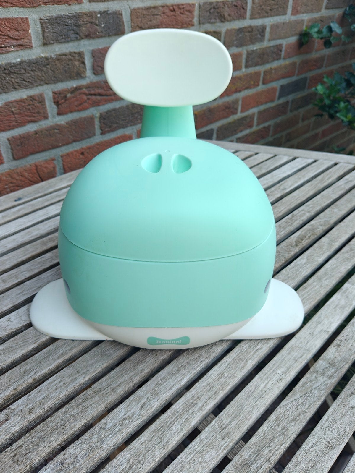 plaspotje potty whale muntgroen, Ophalen