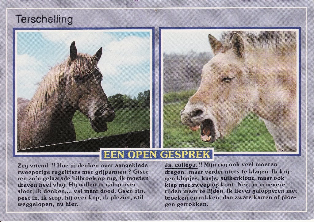 PAARDEN -  Een open gesprek, Verzamelen, Postkaarten | Dieren, Ophalen of Verzenden, 1980 tot heden, Gelopen, Paard