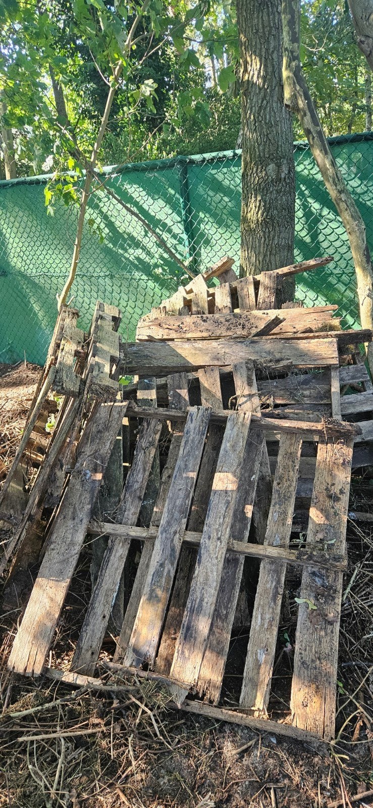 Brandhout 9 paletten gratis, Tuin en Terras, Brandhout, Ophalen