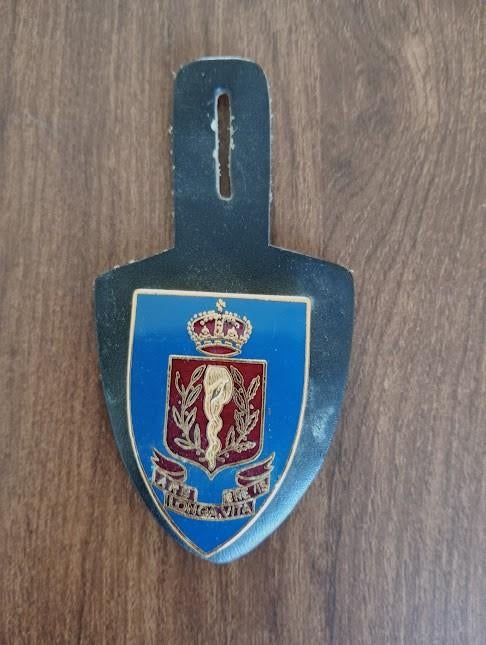 Breloque du Service Medical., Enlèvement ou Envoi, Armée de terre, Emblème ou Badge