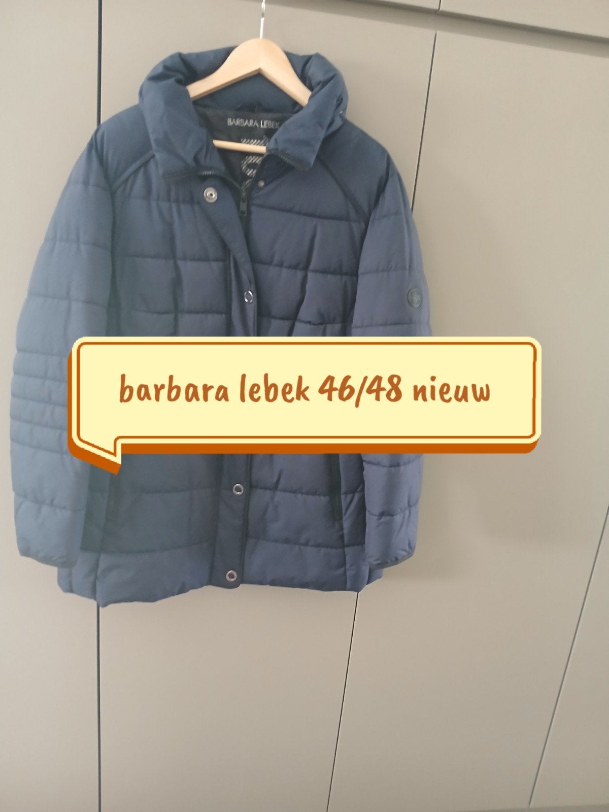 Veste Barbara Lebek 46/48 neuve, Vêtements | Femmes, Vestes | Hiver, Neuf, Taille 46/48 (XL) ou plus grande, Enlèvement ou Envoi