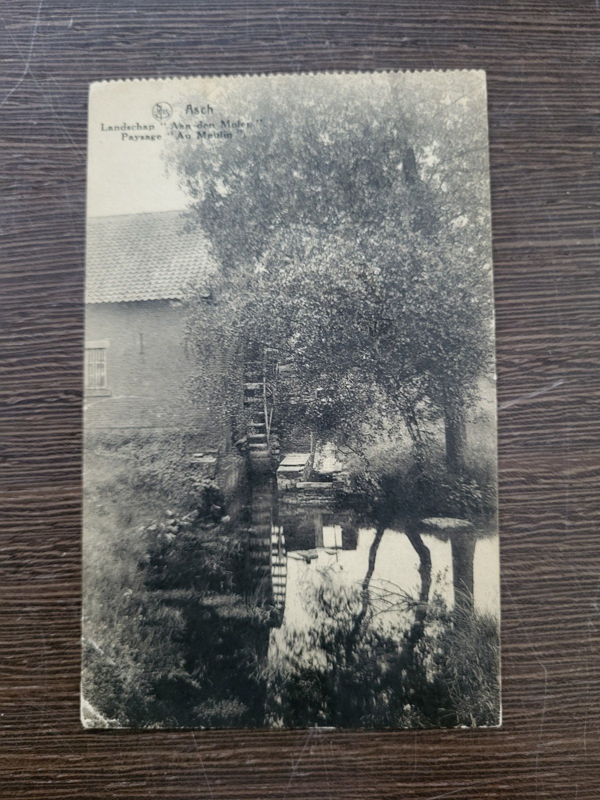 As aan de molen Asch, Verzamelen, Ophalen of Verzenden