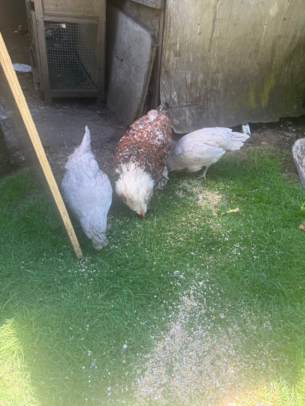 Kleurleggers