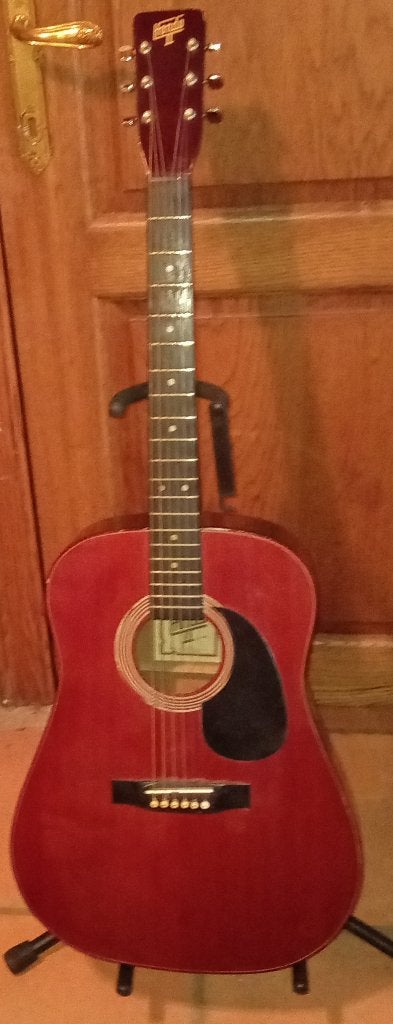 Western gitaar, Ophalen, Gebruikt, Western- of Steelstringgitaar