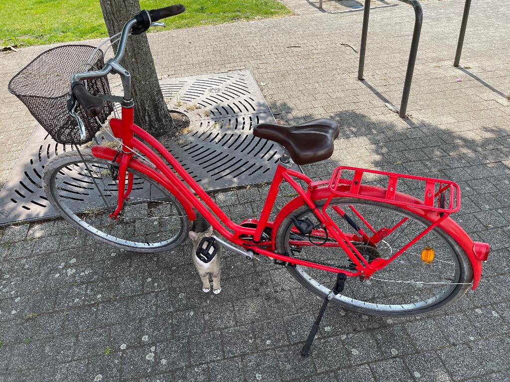 Btwin fiets goede staat Nieuwe prijs was 350 euro, Enlèvement