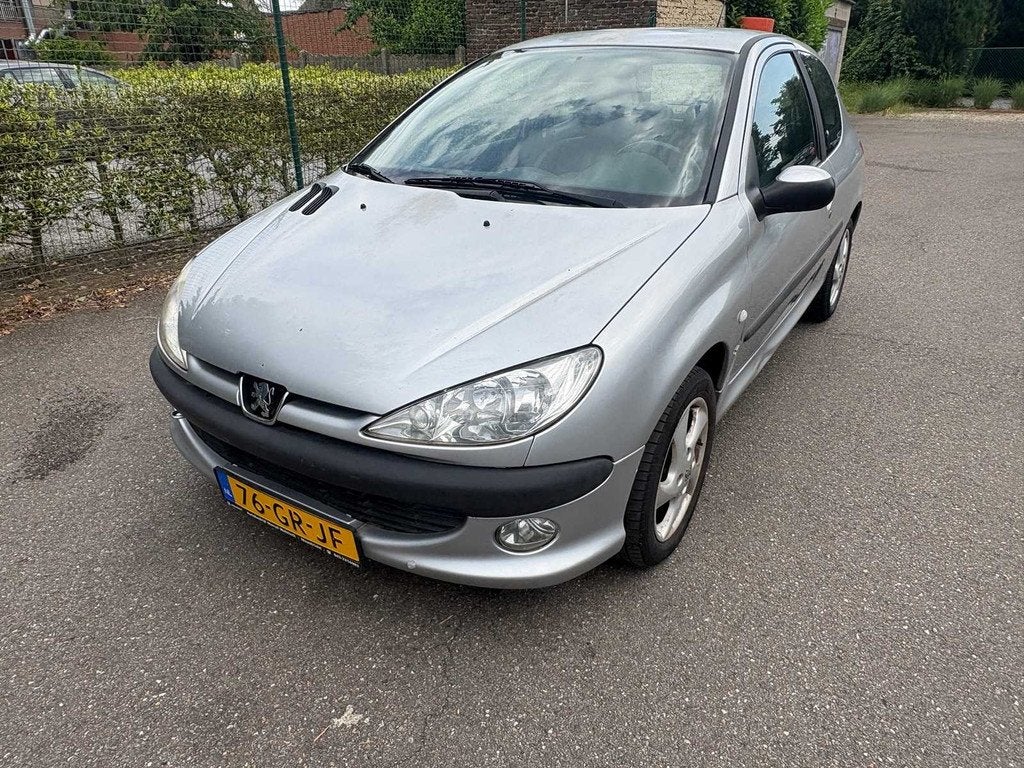 Peugeot - 206 - 1.6-16V XS - Voiture - 2001, Achat, Entreprise, Occasion, Essence