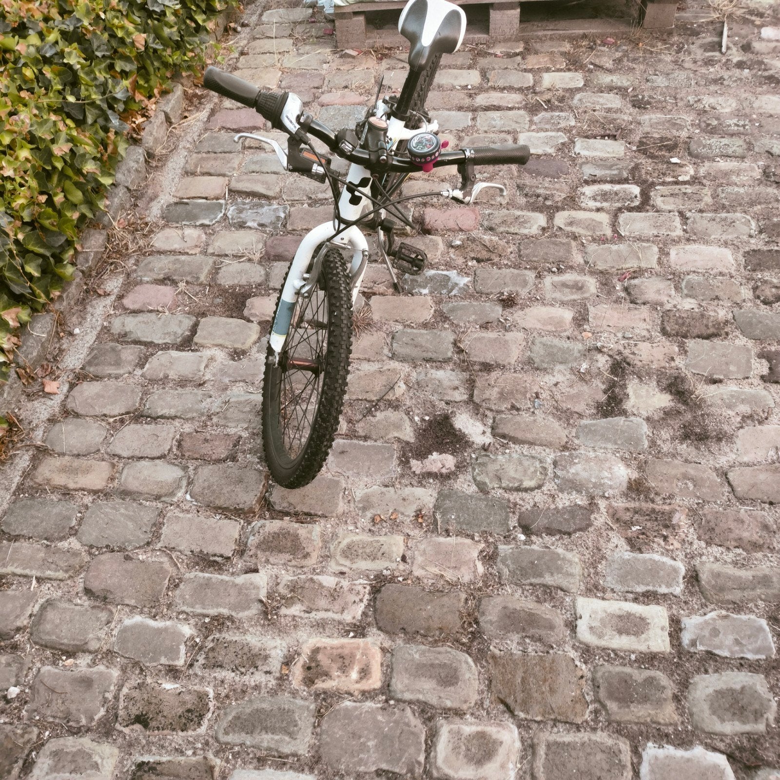 Fiets 4j tot 8j, Ophalen, Gebruikt, 16 tot 20 inch