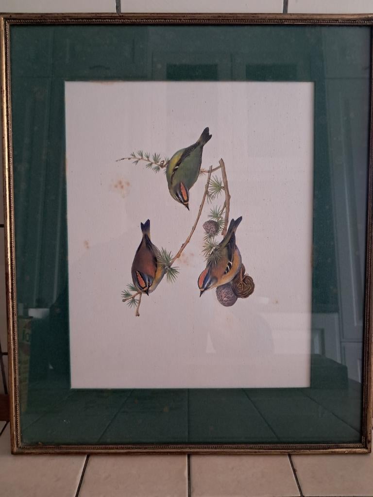 Oude tekening met 3 vogeltjes, Ophalen
