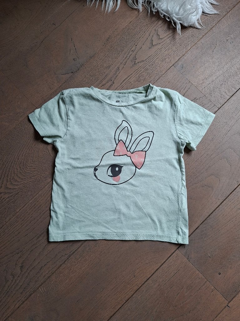 Maat 110 / 116 : shirtje H&M konijntje, Kinderen en Baby's, Kinderkleding | Maat 110, Gebruikt, Meisje, H&M, Ophalen of Verzenden