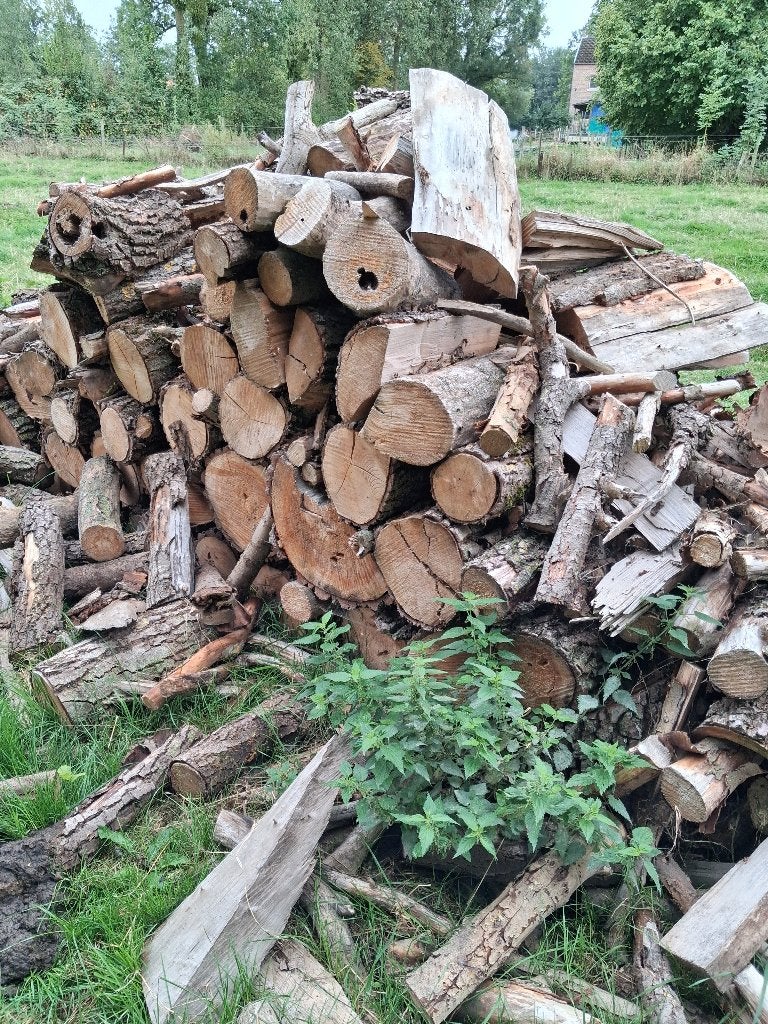 Bois de chauffage, Jardin & Terrasse, 6 m³ ou plus, Enlèvement, Autres essences de bois, Branches