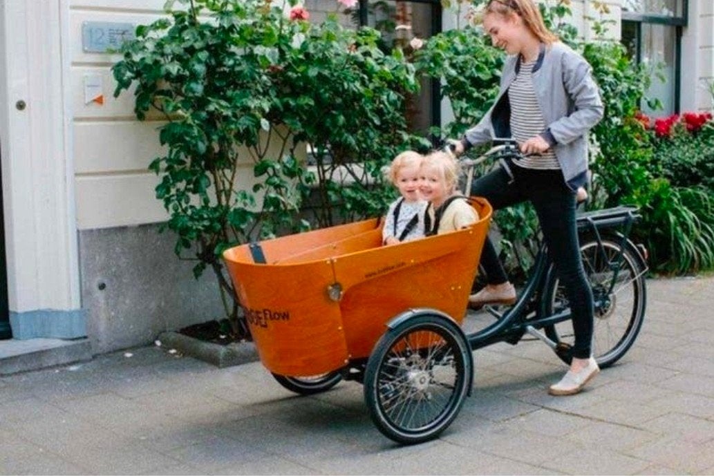 babboe flow nieuw, Vélos & Vélomoteurs, Vélos | Vélos avec bac, Enlèvement
