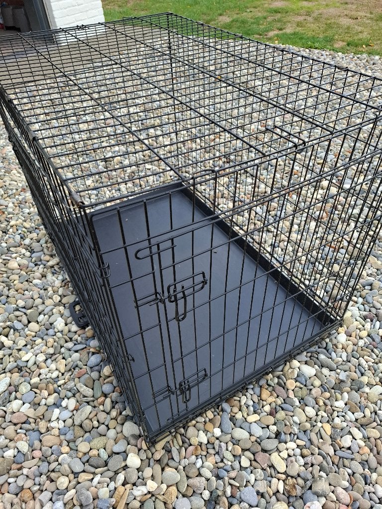 Dieren, Enlèvement, Comme neuf, Chiens