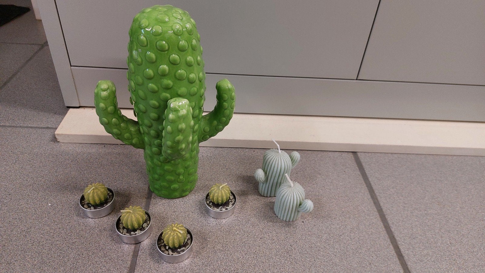 Mooie decoratieve cactusjes, Ophalen