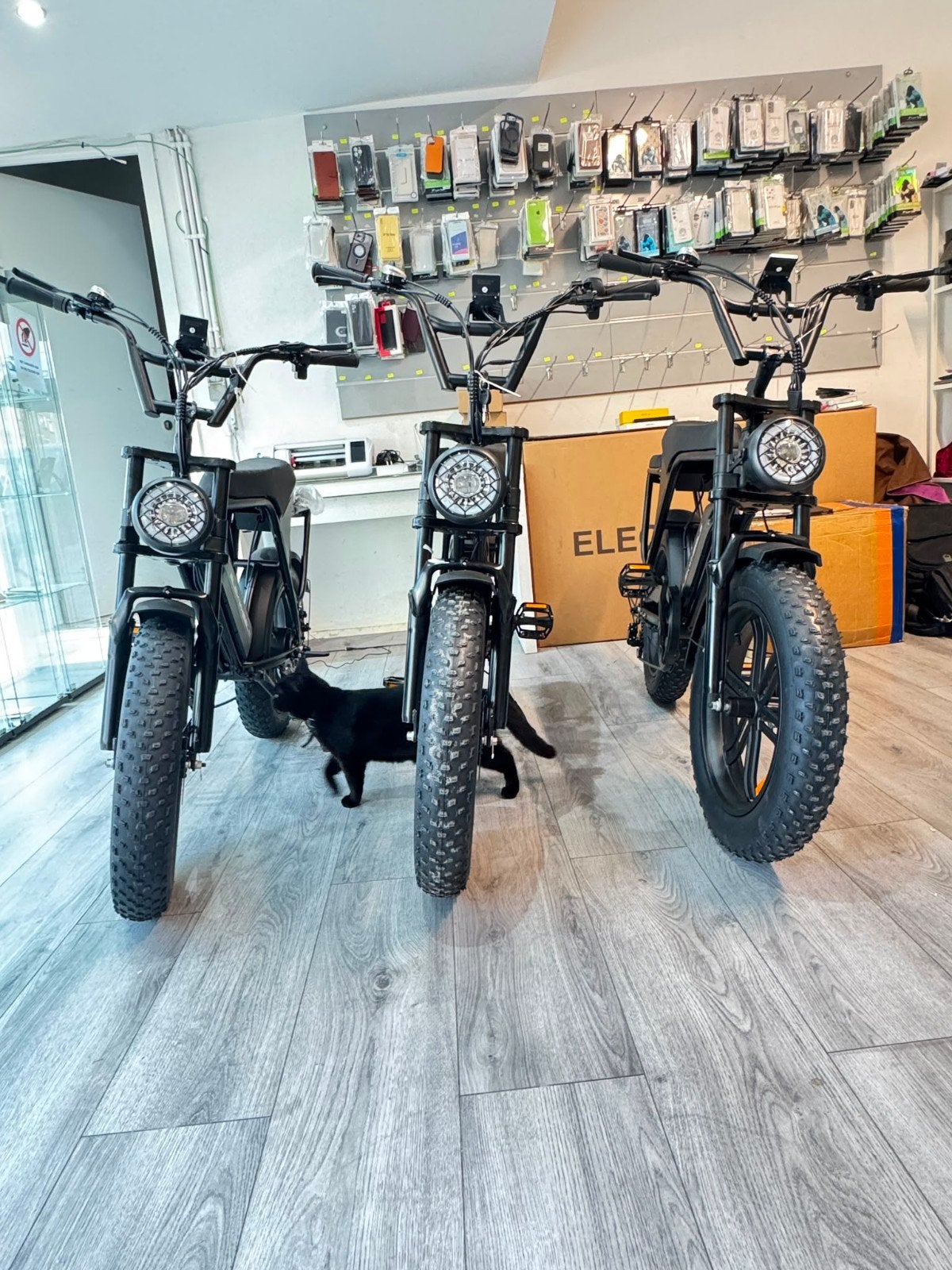 fatbike Elektrische fiets Nieuw!, Fietsen en Brommers, Ophalen of Verzenden