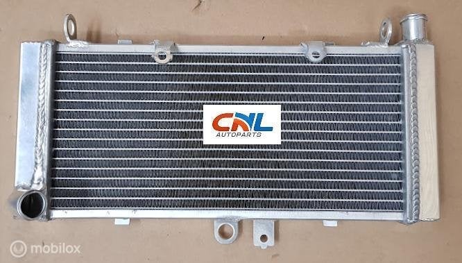 Radiateur Honda CB900F 919 Hornet 900 2002-2007 03 04 05 06, Nieuw, Ophalen of Verzenden