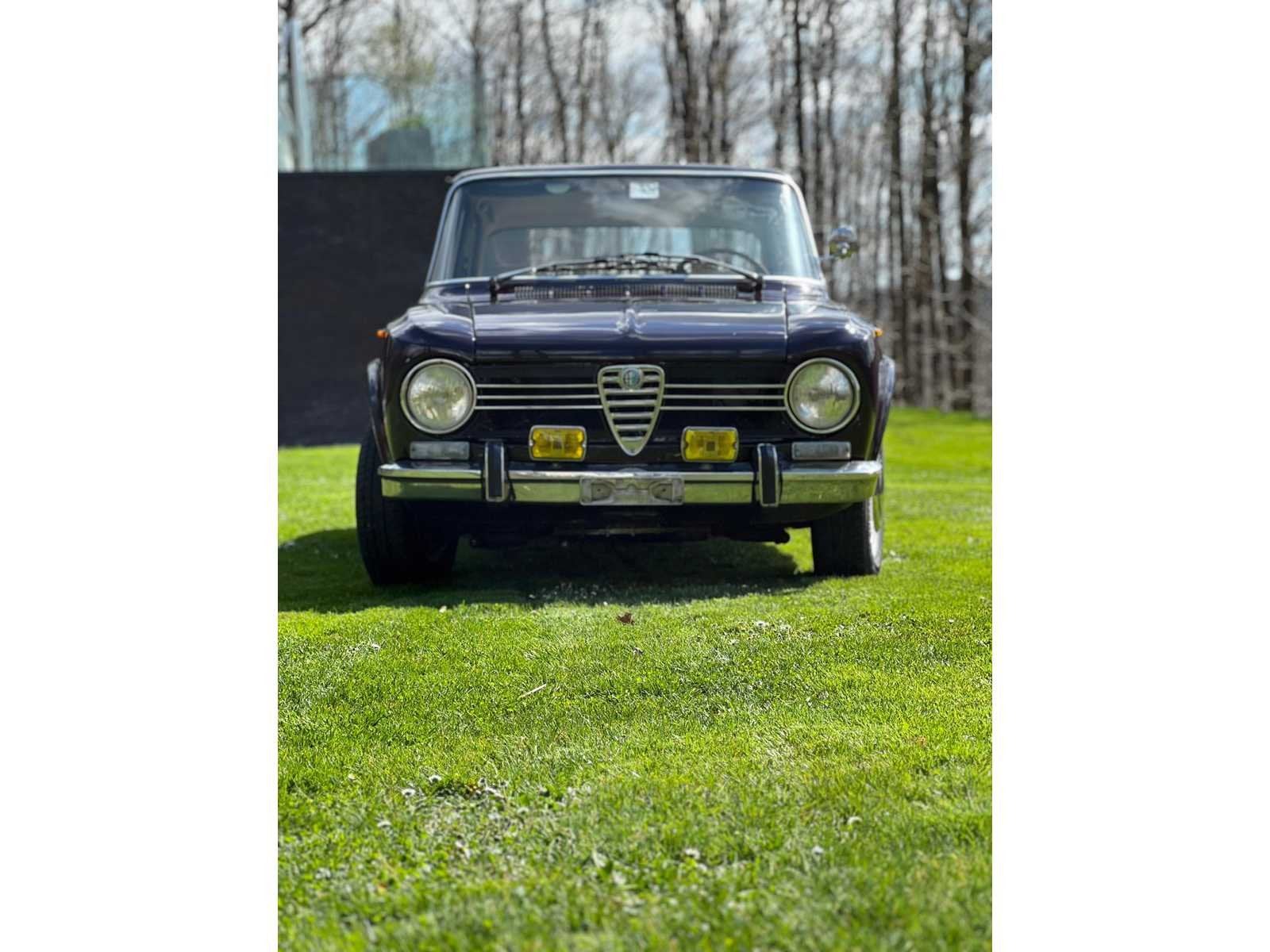 1975 Alfa Giulia Super Ancestors, foto 6