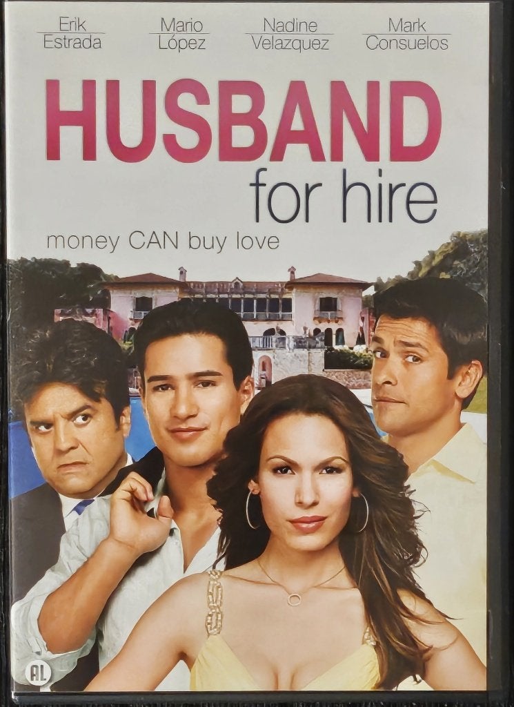 Husband for Hire (2008), CD & DVD, DVD | Comédie, Comédie romantique, Enlèvement ou Envoi, Anglais, Néerlandais