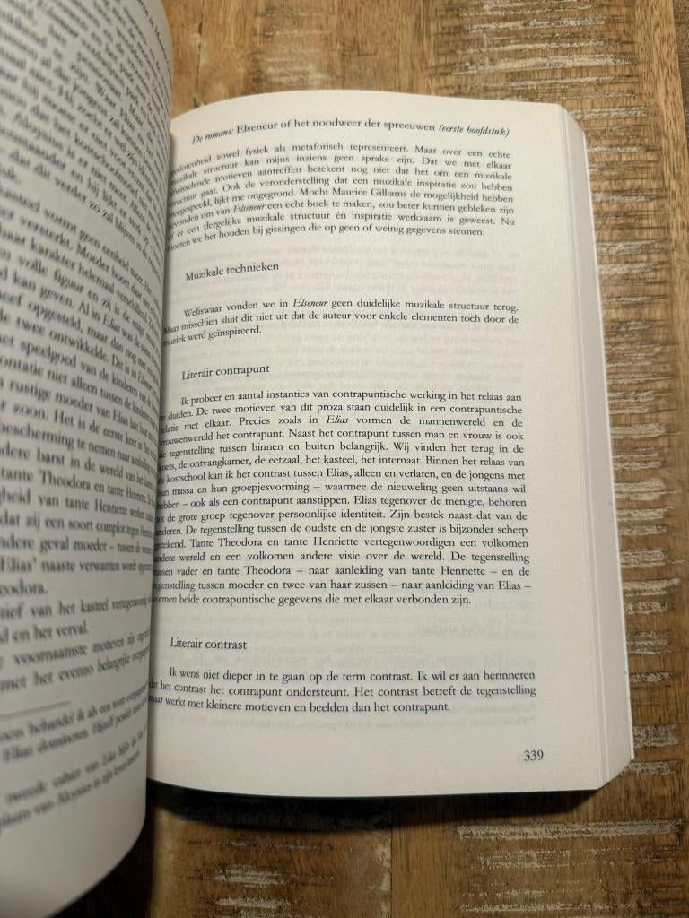 Muziek en woord, vormen en structuren in h proza M Gilliams, Boeken, Gelezen, België, Ophalen of Verzenden, Katalin Balogh