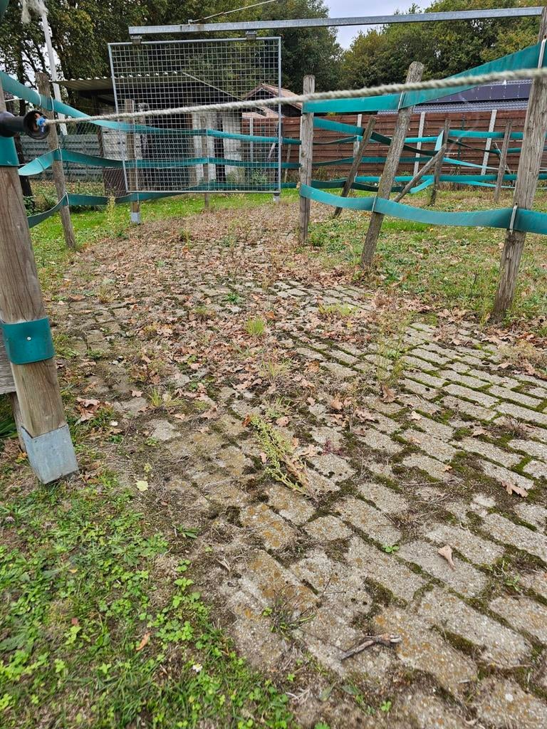 Pavés en béton +/- 22 m2, ramassage gratuit, Béton, Enlèvement, Utilisé, Briques