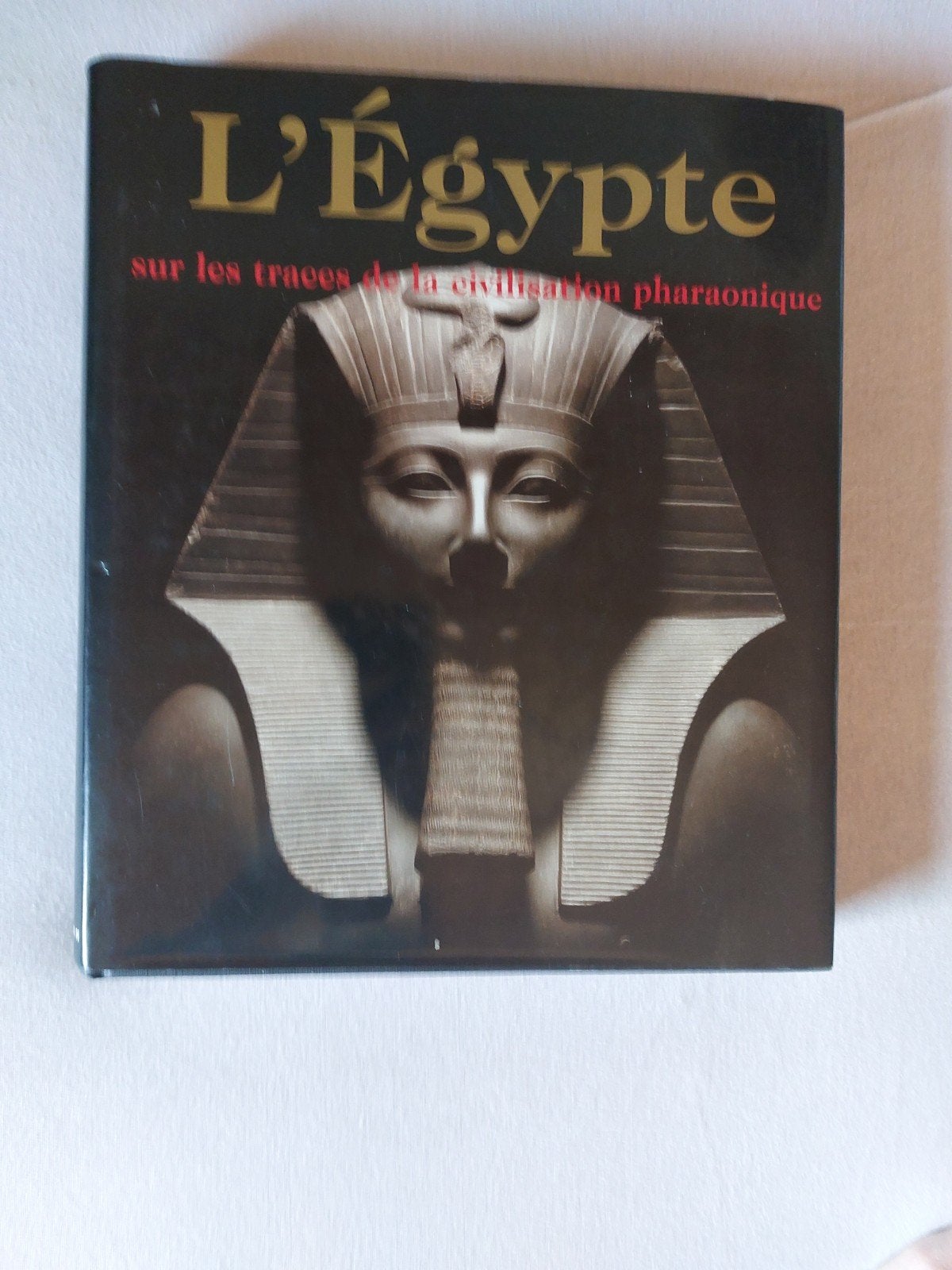 L'Égypte, sur les traces de la civilisation pharaonique, Livres, Enlèvement