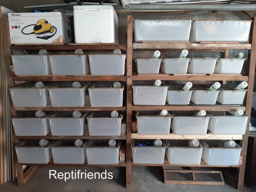 Lot de cage élevage rats souris t4 complète., Enlèvement, Utilisé
