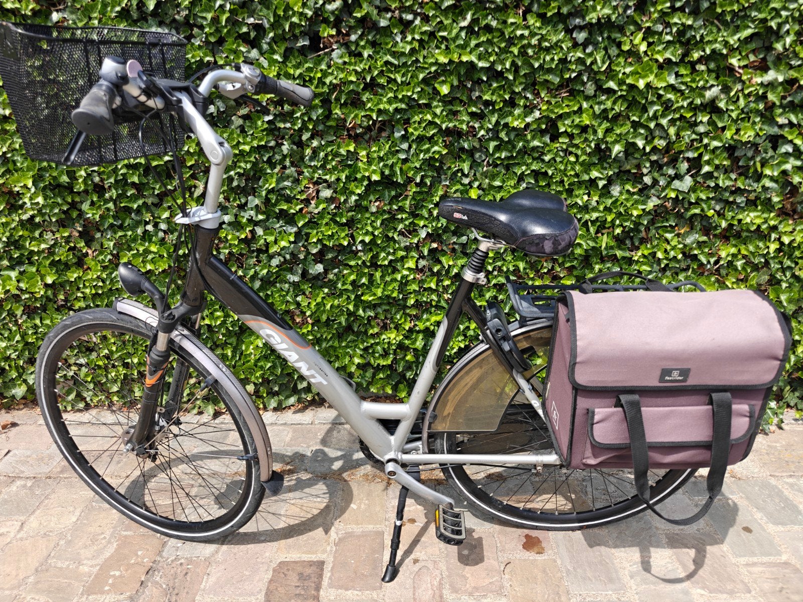 Damesfiets Giant L (niet electrisch), Fietsen en Brommers, Ophalen, Giant