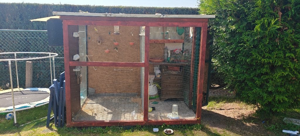 Kanarie volière, Dieren en Toebehoren