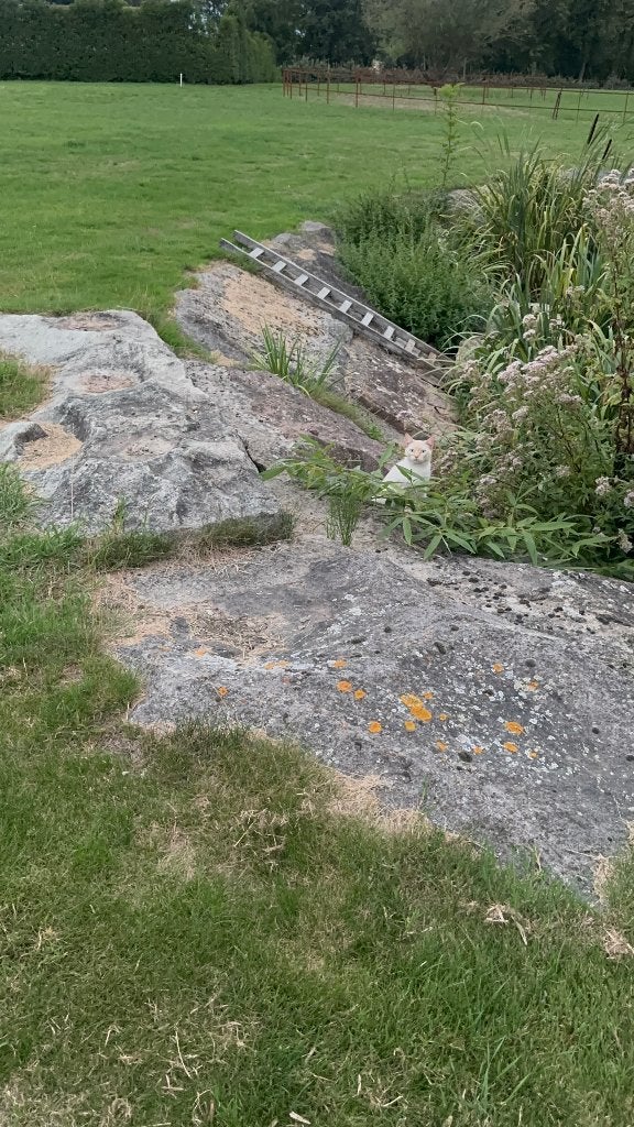 Natuurstenen voor vijver, Tuin en Terras, Ophalen, Gebruikt