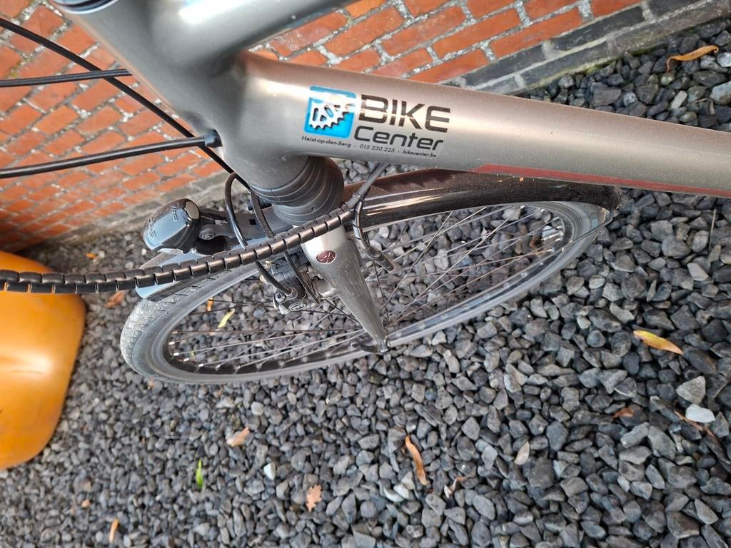 Electrische herenfiets, Fietsen en Brommers, Elektrische fietsen, Ophalen