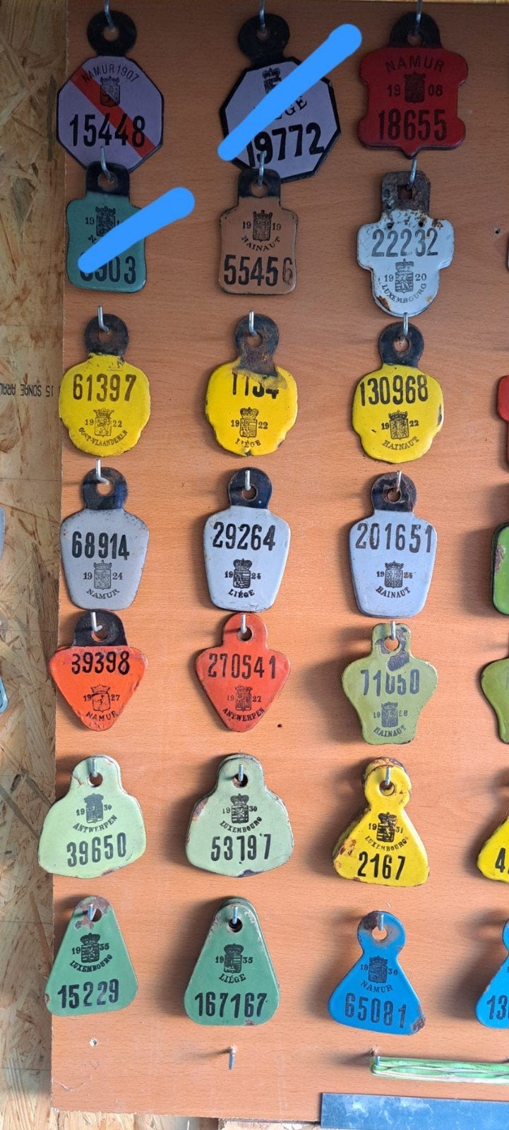 Plaques de taxes de velos differentes provinces, Collections, Enlèvement ou Envoi