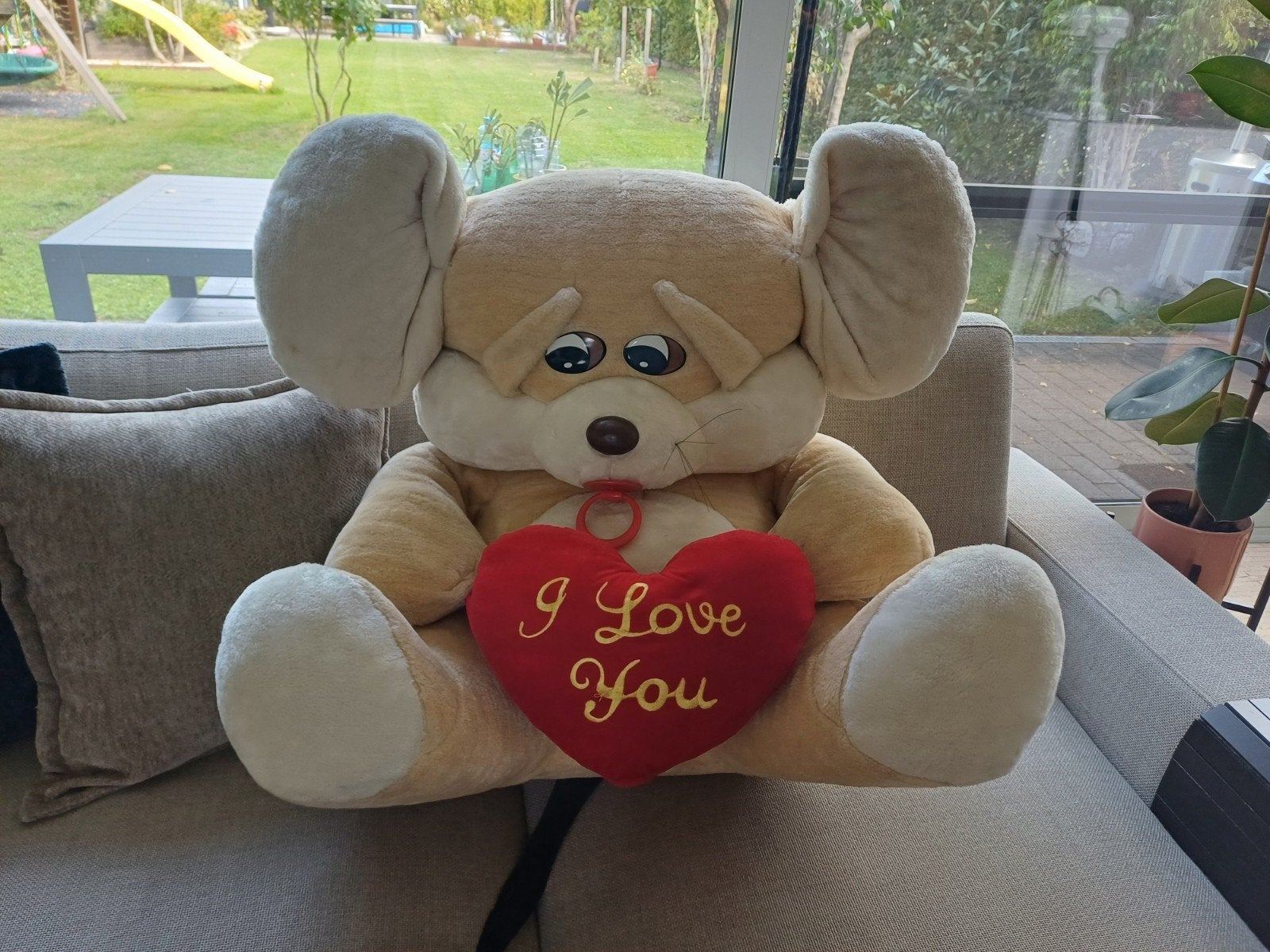 teddybeer ,grote beer, Enlèvement