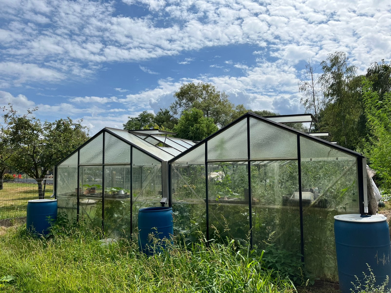 Serre, Serre, Enlèvement, Utilisé, Verre