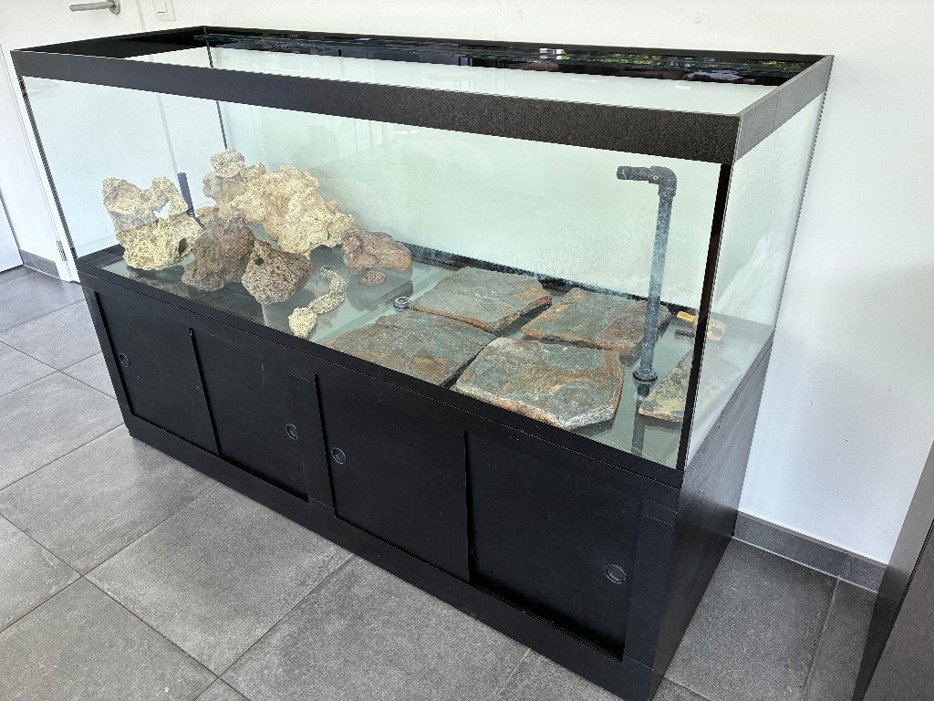 Tortues d'aquarium (poissons) 150x50x50, Enlèvement, Utilisé, Terrarium ou Paludarium